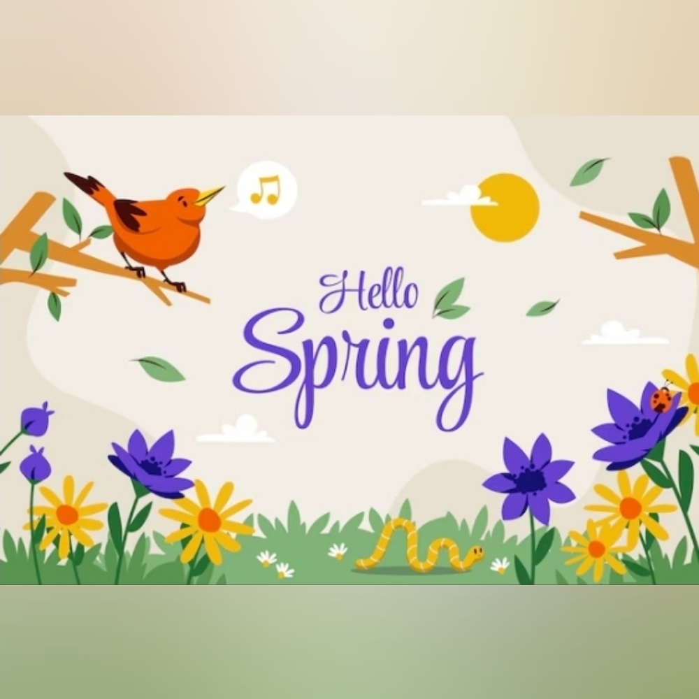 🌷🌼HELLO SPRING🌺🪻